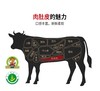 【100%延边黄牛肉】现杀原切黄牛肉牛腩肉腿肉JL 商品缩略图6