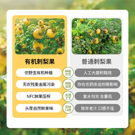 黔雅集双有机刺梨原液原浆贵州特产高VC/SOD 100%纯果汁35ml*15袋 商品图4