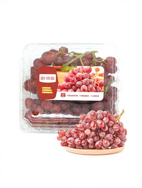 MM 山姆 进口无籽红提 1.36kg