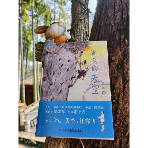 斯飞的天空 商品图1