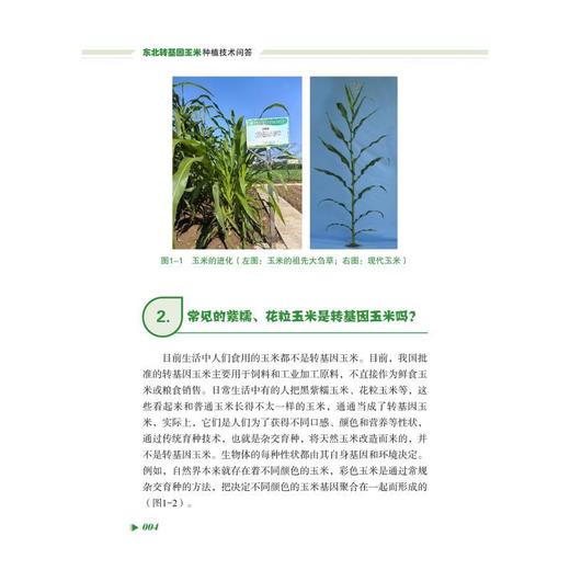 东北转基因玉米种植技术问答 商品图2