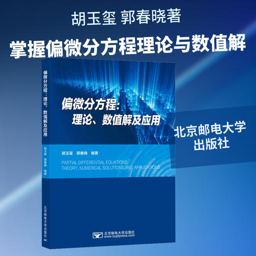 偏微分方程:理论.数值解及应用 商品图0