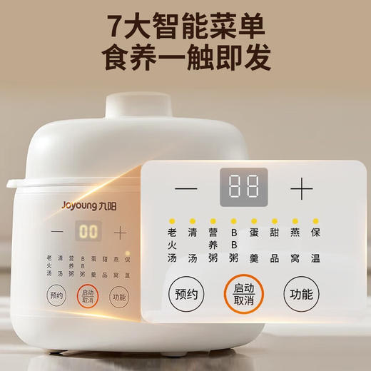 九阳隔水炖1.0L升电炖锅家用燕窝电炖盅婴儿辅食锅宝宝煮粥煲汤锅 商品图4