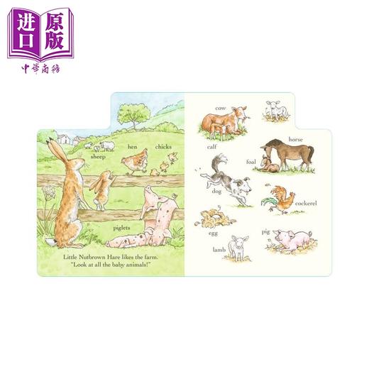【中商原版】猜猜我有多爱你 100词 Guess How Much I Love You Out and About in 100 Words 英文原版 亲子纸板书 进口童书 商品图2