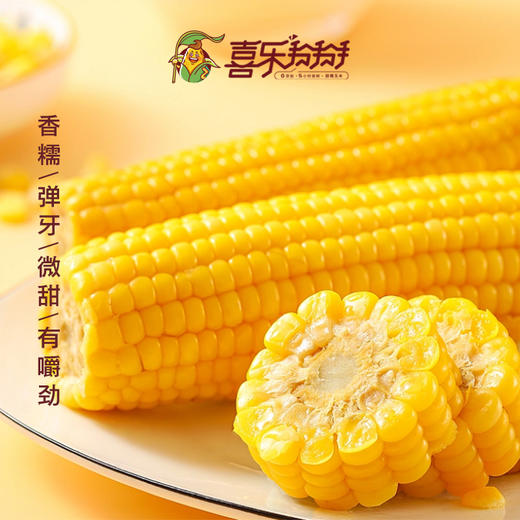 【黄金口感】吉林黄糯鲜食玉米 家庭装 400g/袋*5（到手10棒）JL 商品图4