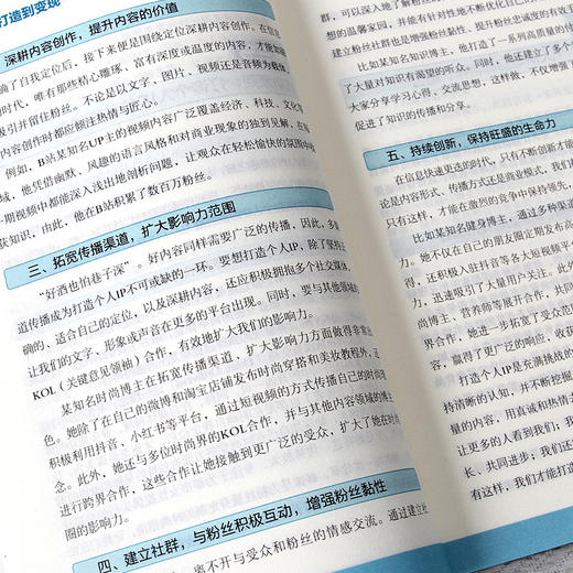 个人IP从打造到变现 商品图4