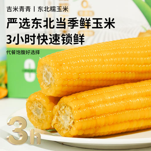 【3h极速锁鲜】非转基因鲜食黄糯玉米10穂/箱JL 商品图1