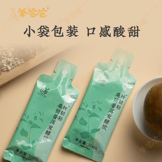 升级版【桑荷普洱发酵饮】几养|畅轻无负担 守护纤纤身型 商品图4