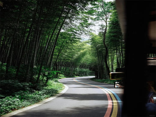 五一4日【溧阳竹光】江南人文山水の竹海秘境-湖光禅意-南山竹海-窑湖小镇-天目湖-报恩禅寺-溧阳夜景-南京 商品图7