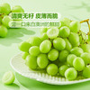 MM 山姆 澳洲无籽青提 1.36kg 商品缩略图3