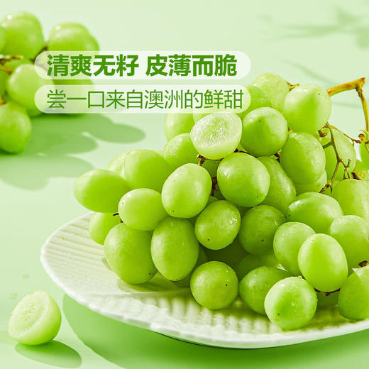 MM 山姆 澳洲无籽青提 1.36kg 商品图3
