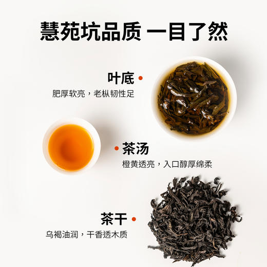 【窠岩氏】05慧苑坑老枞水仙80g 商品图4