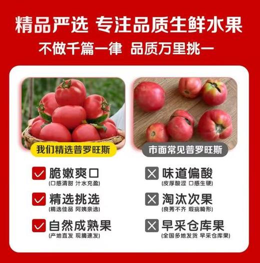 普罗旺斯西红柿礼盒装4.5斤 商品图6