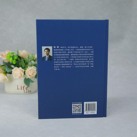 全波形反演理论与应用 商品图3