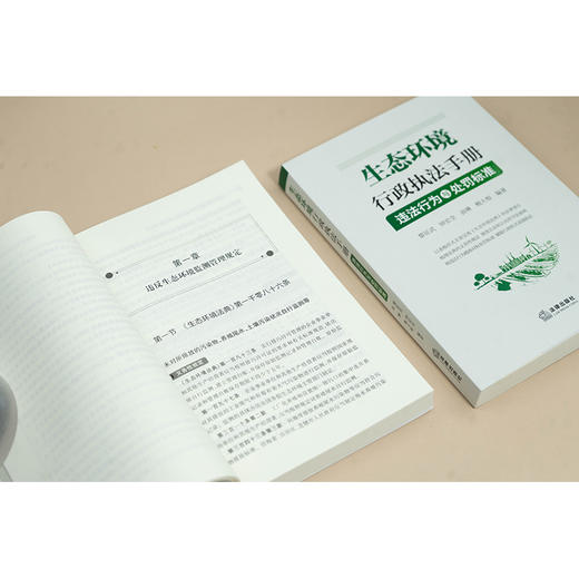 生态环境行政执法手册：违法行为与处罚标准  黎征武 钟宏全 袁琳 鲍大根编著  法律出版社 商品图4