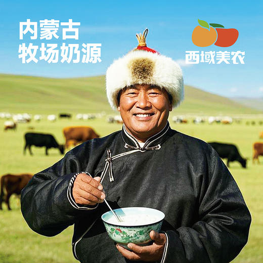 西域美农烤奶皮酥128g 高钙高蛋白 牛奶烤着吃 商品图3