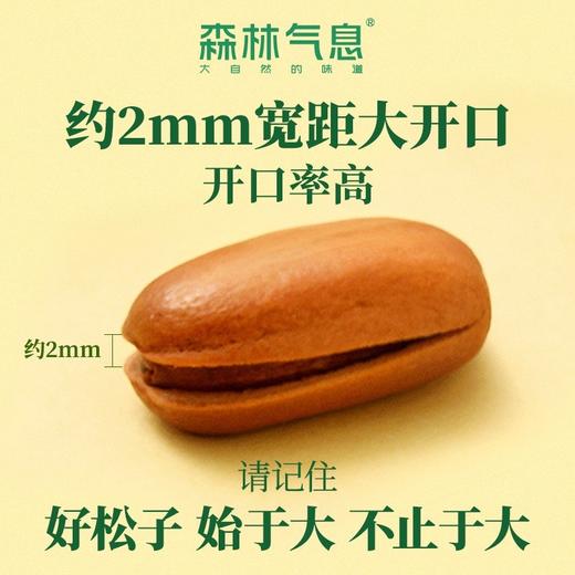 【董宇辉直播间同款】双有机开口松子  98g*5袋JL 商品图4