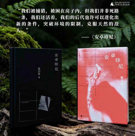 安卓珍尼 董启章/著【知新】 商品图2