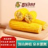 喜乐掰掰黄糯玉米10根/箱JL 商品缩略图3