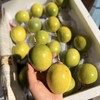 农科院新品种！海南桂蜜百香果【净重约3斤】~几乎完美的一款百香果，口感纯甜，风味超浓郁。 商品缩略图1
