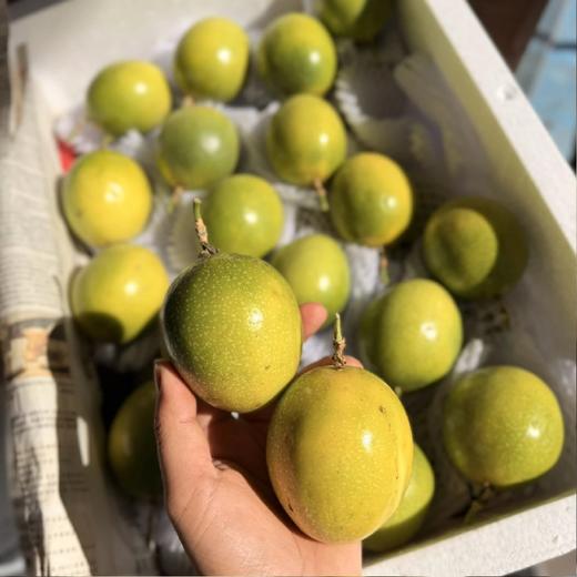 农科院新品种！海南桂蜜百香果【净重约3斤】~几乎完美的一款百香果，口感纯甜，风味超浓郁。 商品图1