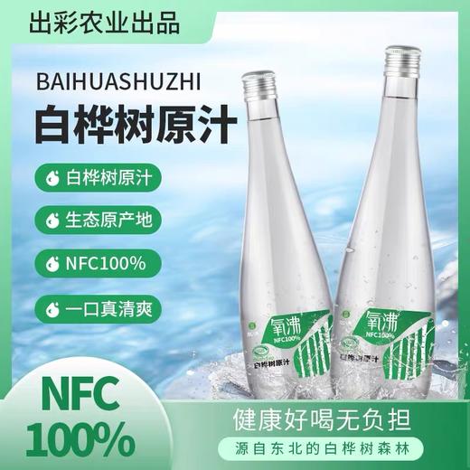 *长白山100%天然白桦树原汁饮320ml*6瓶/箱JL 商品图0