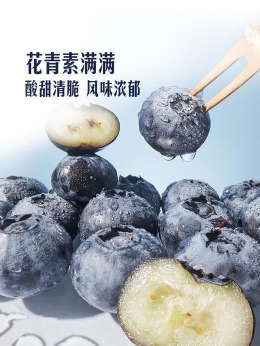 MM 山姆 20mm云南蓝莓 600g 商品图6