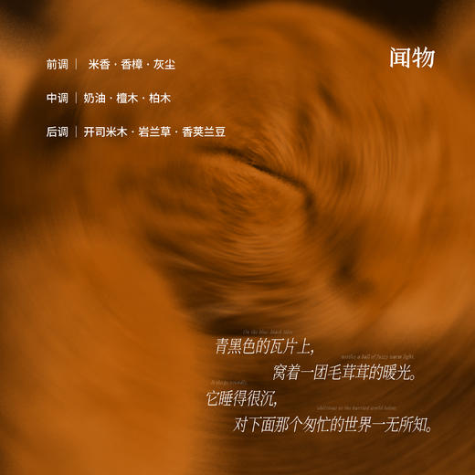 【空镜系列】浓香香型 · 老屋顶晒太阳的猫 · 温暖木质香 商品图1