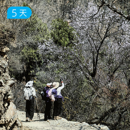 经典南太行｜55公里精华徒步 国内十大经典徒步路线之一 5日 商品图4