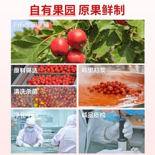 【新品必拍】未零山楂消消棒消消串0脂肪鸡内金儿童健康零食 商品图4