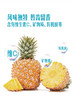MM 山姆 芒果凤梨 2.4kg 商品缩略图6