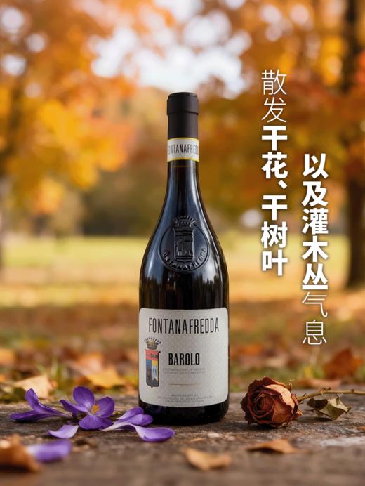 MM 山姆 芳塔纳 意大利进口 巴罗洛红葡萄酒 750ml 商品图2