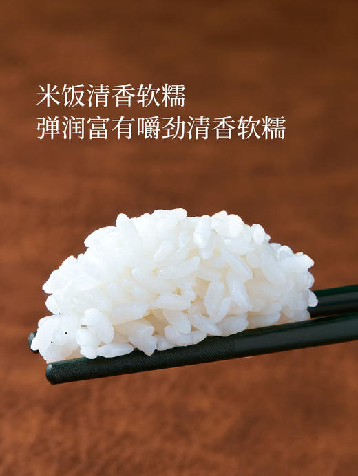 十月稻田优质东北大米长粒香5kg*2  山姆会员店商品非商品原因不支持退款 商品图3