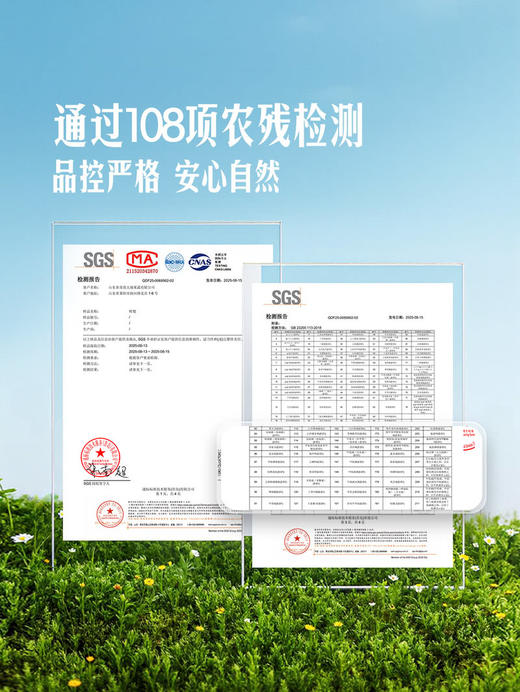 MM 山姆 山东甘露梨 3kg 商品图3