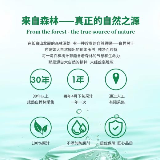 *长白山100%天然白桦树原汁饮320ml*6瓶/箱JL 商品图1