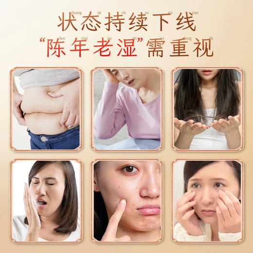 胡庆余堂 陈皮灰树花饮JL 商品图1