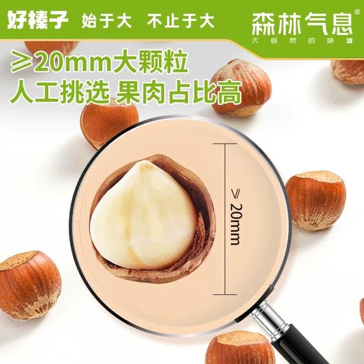 *长白山森林气息开口脆榛子245g/罐JL 商品图1