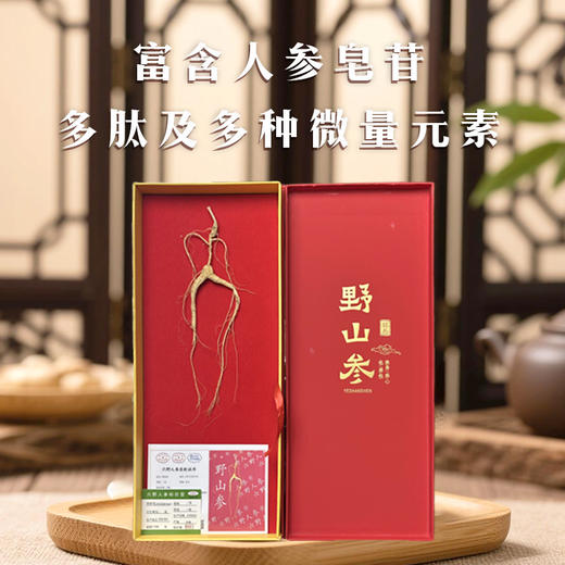 【孝心臻选整支野山参】长白山特级二等野山参带证书JL 商品图1
