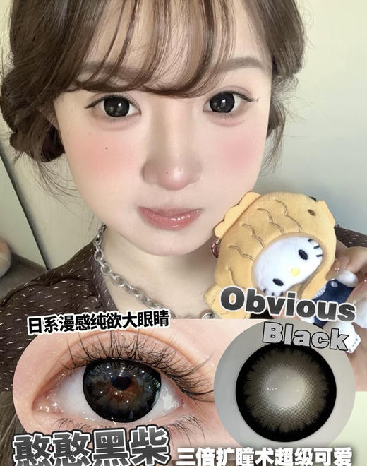 OBVIOUS BLACK 憨憨黑柴【半年抛】 商品图0