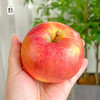 阿克苏樱桃苹果 （松脆多汁 清爽香甜）5斤装/8斤装 顺丰快递 下单后72小时发货 商品缩略图4