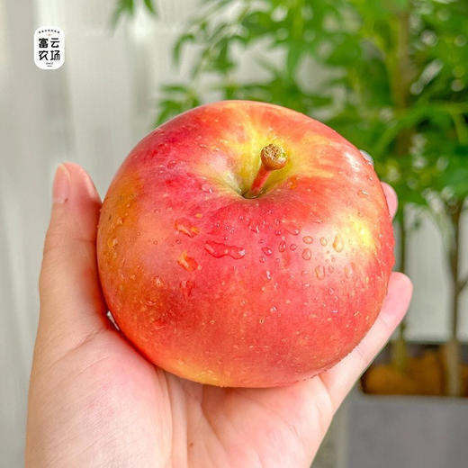 阿克苏樱桃苹果 （松脆多汁 清爽香甜）5斤装/8斤装 顺丰快递 下单后72小时发货 商品图4