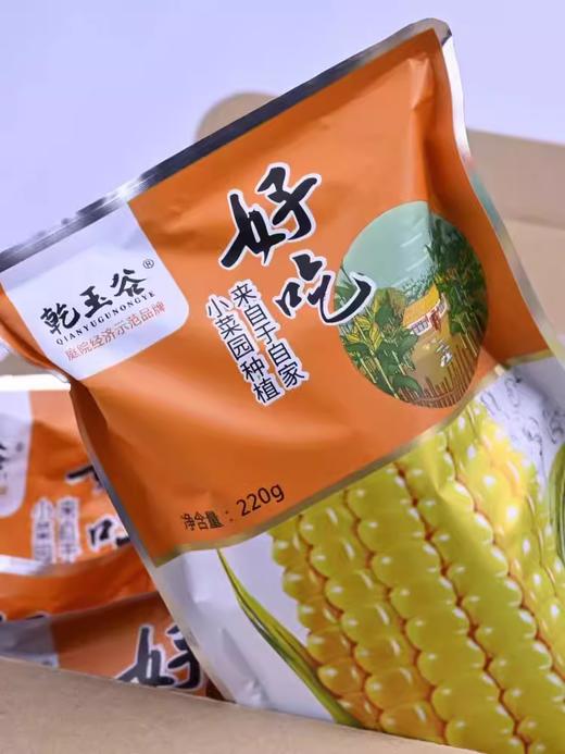 【*自家菜地无化肥】东北绿色种植弱碱甜糯玉米220g*10棒JL 商品图4