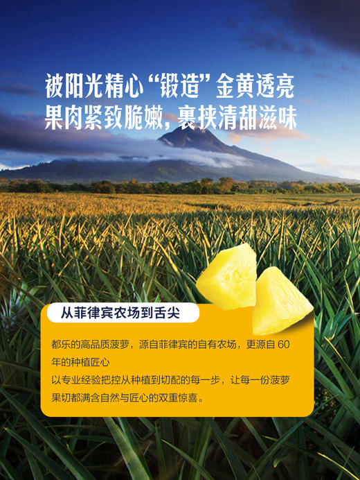 MM 山姆 鲜切菠萝 730g 商品图4