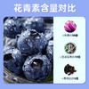 【不加一滴水】100%长白山蓝莓汁原浆果汁 20ml*36支JL 商品缩略图2