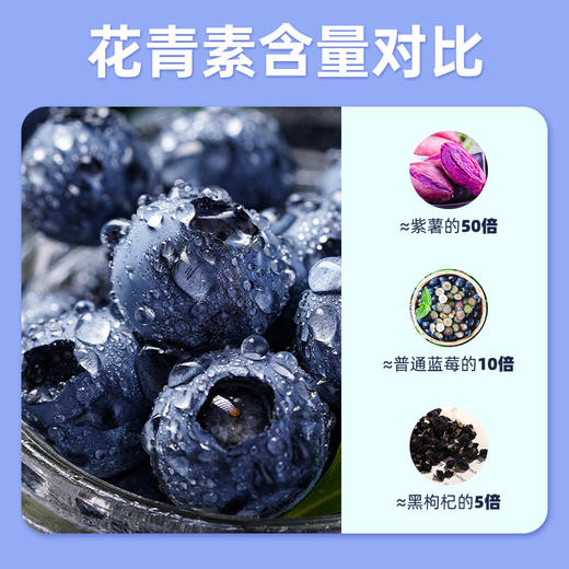 【不加一滴水】100%长白山蓝莓汁原浆果汁 20ml*36支JL 商品图2