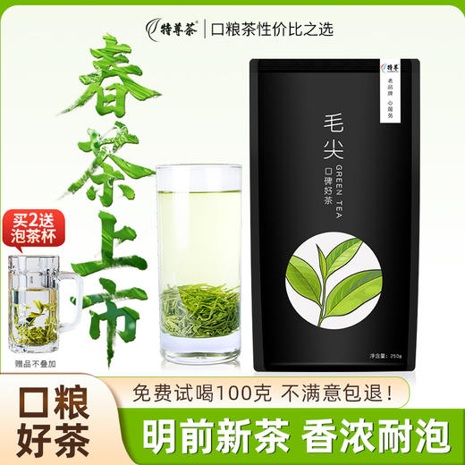 2026新茶 特尊茶5星毛尖明前春茶毛尖 250g*1袋 商品图0