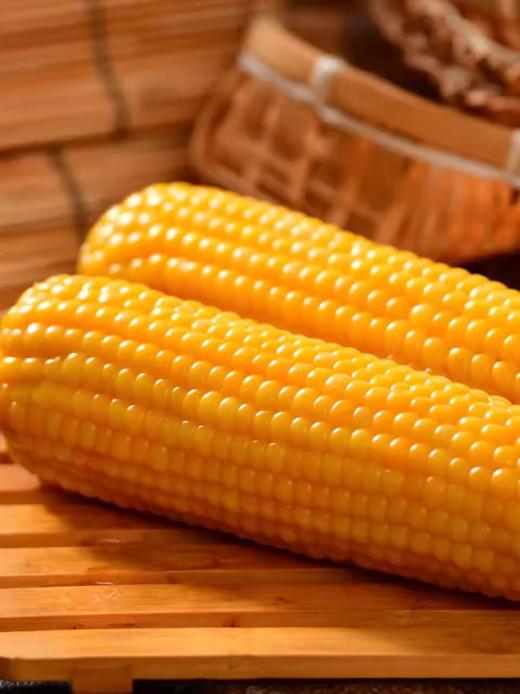 【*自家菜地无化肥】东北绿色种植弱碱甜糯玉米220g*10棒JL 商品图2