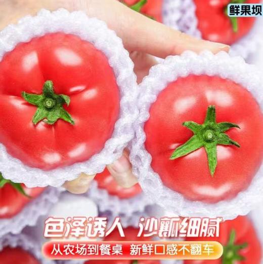 普罗旺斯西红柿礼盒装4.5斤 商品图4