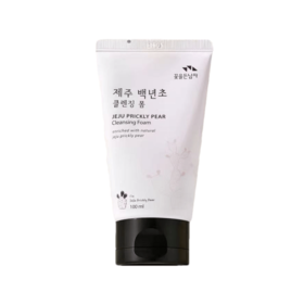 所望 济州岛百年草洗面奶100ml 꽃을든남자 제주백년초클렌징폼100ml