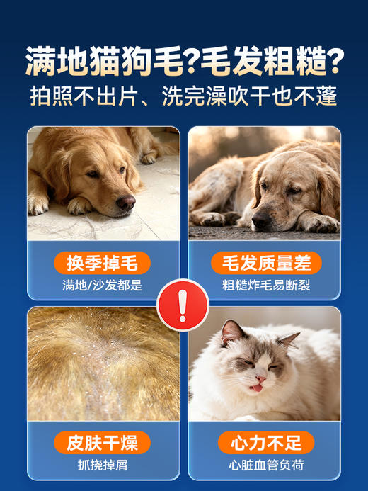 【保质期至2026年11月】普安特深超浓缩鱼油猫用狗狗猫咪专用防掉毛美毛卵磷脂宠物鱼油 商品图1